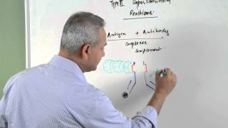 Immunology lecture 15 - Type III Hypersensitivity Reactions 1/6