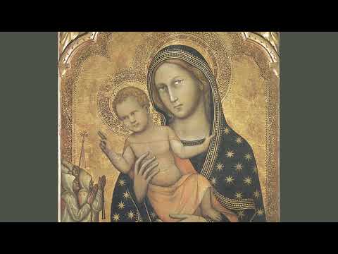 05/08/2020 S. Rosario