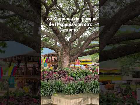 Los Samanes de #hispania #antioquia son otro cuento. #turismo #puebliando