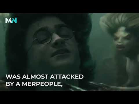 Today In Harry Potter History: The Second Task of the...