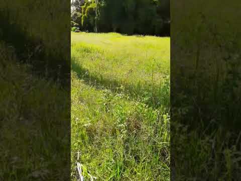 Lotes, Venta, Dagua - $1.500.000.000.000