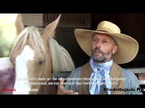 Mustang Makeover 2019 - Christophe Arnaud