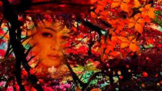 FLEUR POURPRE BERNARD LAVILLIERS.wmv