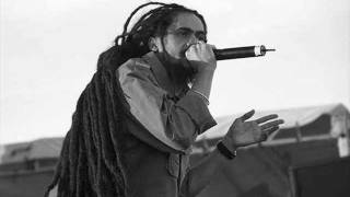 Damian Marley-The Mission (Dj Nickel B remix)