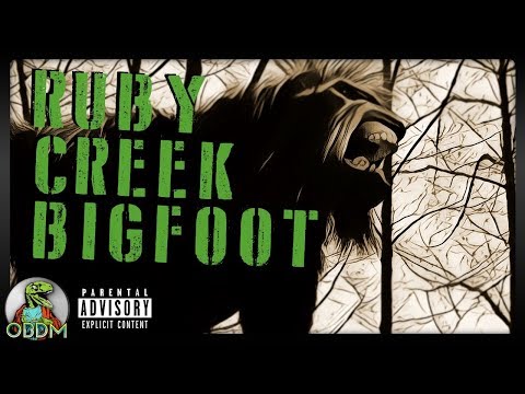Ruby Creek Bigfoot | OBDM Podcast