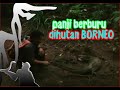 PANJI BERBURU BERUANG DAN BIAWAK BORNEO PANJI PETUALANG