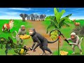 तीन मुर्ख बंदर को मिला जादुई केला का पेड़ 3 Murkh Band