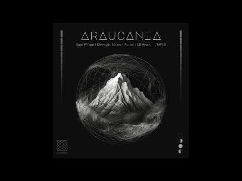 Sam Wilson - Mind (LD Hypno Remix)