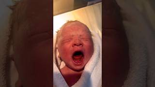 new born | brown baby video #newborn #babyshorts #youtubeshorts