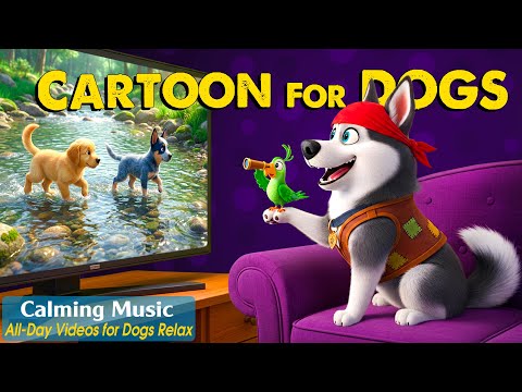 Cartoon for Dogs: Relaxing DOG TV to Prevent Boredom for Dogs Home Alone - Calming Music for Dogs