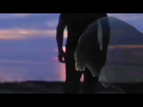 Daman See Sakte Hein Jo Zakhmon Ko Seena Jante Hoon Kumar Sanu