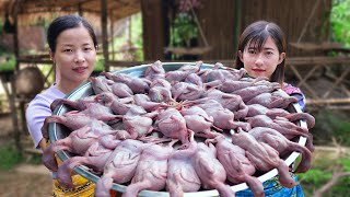 Crispy Fried Quail Recipes - How to Cook Quail and make your mouth watering