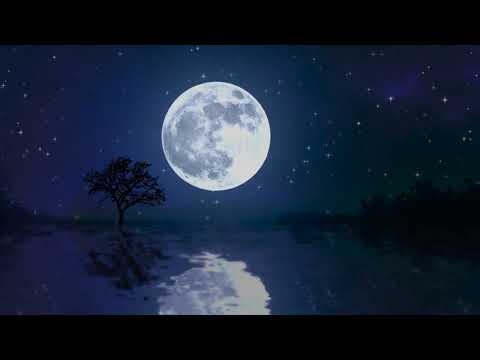 NISUKONI GEET || CHURAMONI DUTTA