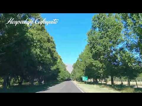 La Alameda, ingreso a Cafayate Salta #argentina