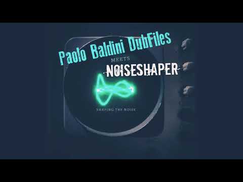 Paolo Baldini DubFiles meets Noiseshaper ‎– Dunk