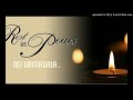 2018_NEI URITIRURIA_(R_I_P) song by Teidy boy.