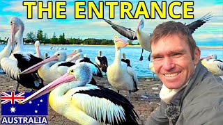 Download lagu PERFECT Sydney Getaway: The Entrance | Best Food, Stay & Play! mp3