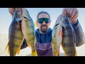 Video Thumbnail for Catching HUGE Perch Using A Special Technique! Biggest Perch Ever Caught!