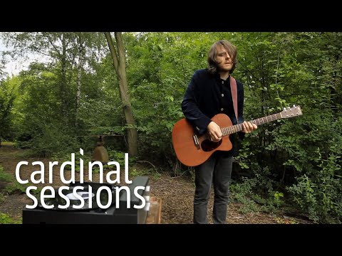 And the Golden Choir - My Transformation - CARDINAL SESSIONS (Traumzeit Festival Special)
