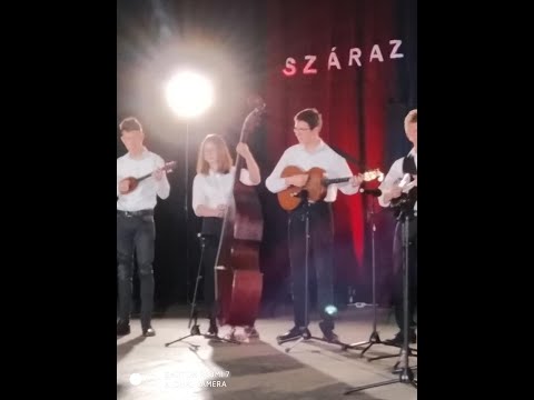 Mendicus Ifjú Tamburazenekar Csantavér