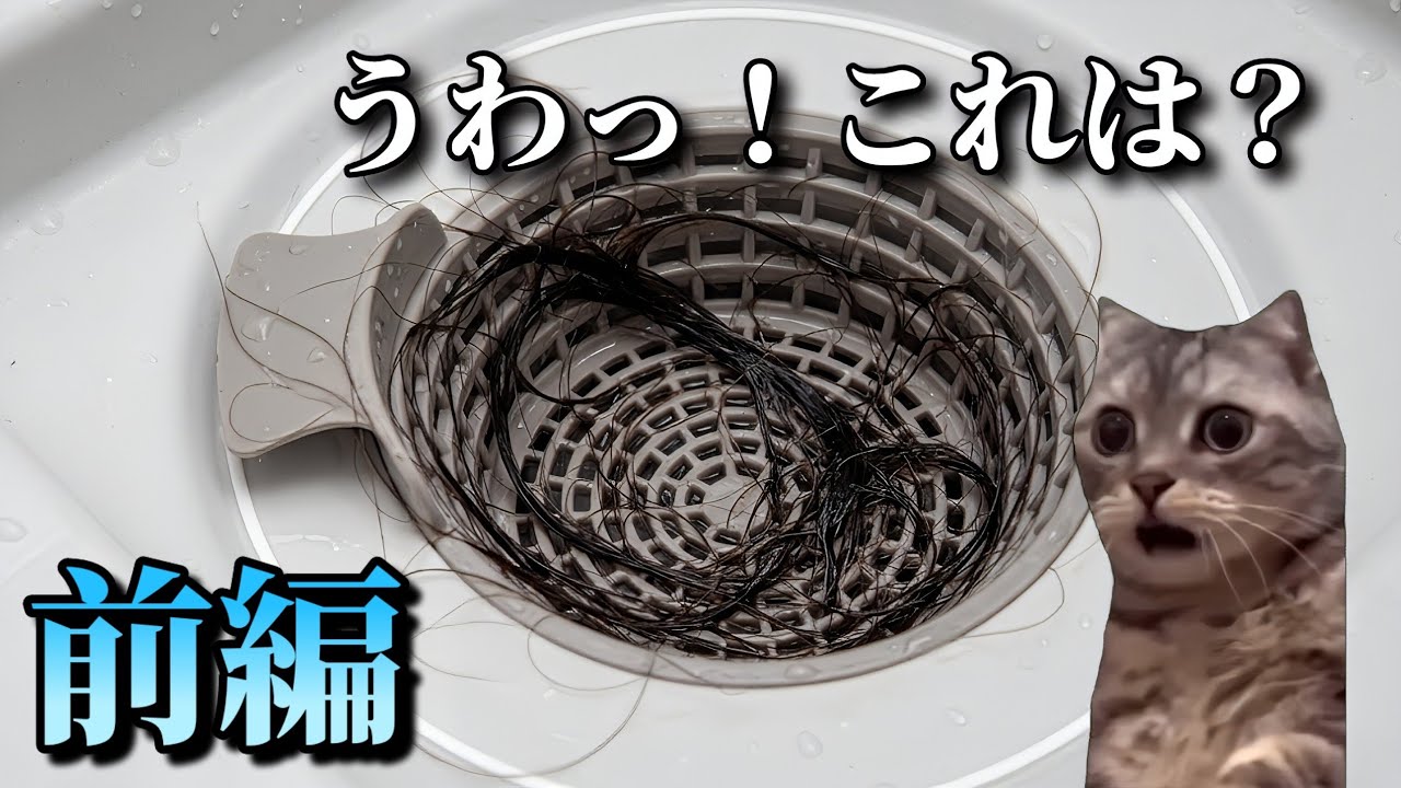 家のお風呂で起きた怖い話　前編　#猫ミーム #ホラー #怖い話 