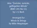 Aria: "Zurücke, zurücke, geflügelten Winde" (BWV 205 No 11) for Winds & Strings