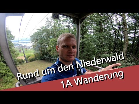 #02 Rund um den Niederwald - eine Wanderung bei Bingen und Rüdesheim am Rhein
