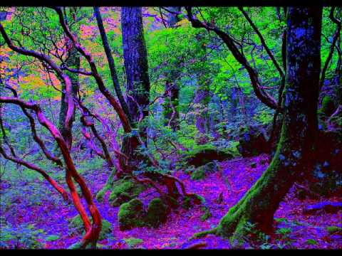 Tomtron & Liesegang - Tale of Atlantis