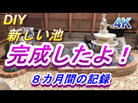 faire-bassin-de-jardin-plantes-decoration-exterieure