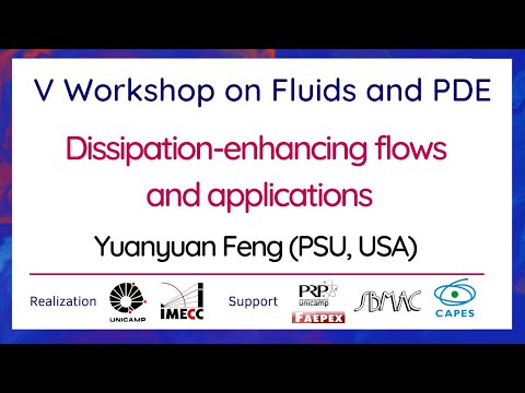 V Workshop on Fluids and PDE - September 30th, 2021 - Yuanyuan Feng