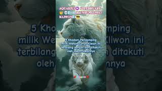 Download lagu 𝐀𝐐𝐔𝐀𝐑𝐈𝐔𝐒♒ 𝟏𝟐 𝐅𝐄𝐁𝐑𝐔𝐀𝐑𝐘👑 🌬❄𝐬𝐡𝐢𝐨 𝐍𝐀𝐆𝐀 𝐉𝐔𝐌𝐀𝐓 𝐊𝐋𝐈𝐖𝐎𝐍 1 𝐒𝐔𝐑𝐎 ,𝑲𝑬𝑷𝑨𝑳𝑨 𝑩𝑨𝑻𝑼..〈🤣ノ 💨👹 #weton #zodiak #aquarius mp3
