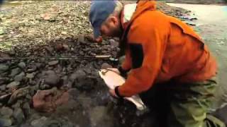 Jurassic lake - large Rainbow Trout