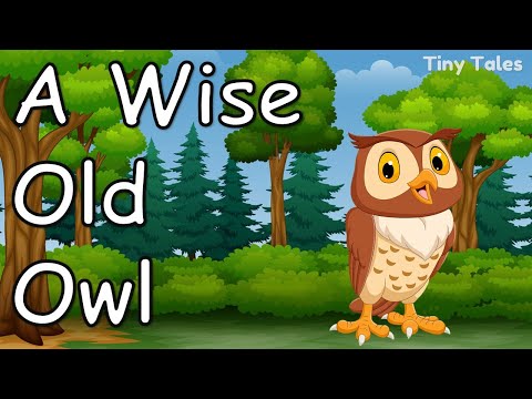 A Wise Old Owl | Moral Story in English | Tiny Tales |1 minute stories | Audiobook