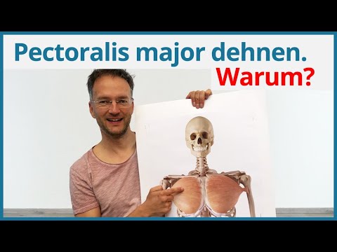 Blutdruckmessgerät 1. JANUAR IBP adyutor Die Behandlung von Bluthochdruck in Ungarn