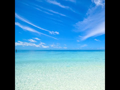 Video thumbnail FTND4MzcihE