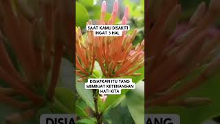 Download lagu saat kamu disakiti ingat 3 hal #short #religi #videoislami mp3 Download lagu saat kamu disakiti ingat 3 hal #short #religi #videoislami mp3