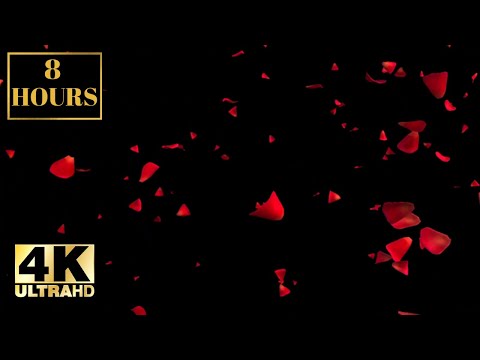 Romantic Love Valentines Red Rose Leaves Wallpaper Screensaver Background 4K 8 HOURS