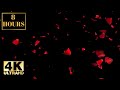 Romantic Love Valentines Red Rose Leaves Wallpaper Screensaver Background 4K 8 HOURS