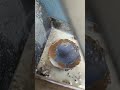 Insanely beautiful rock!! thundereggs just keep surprising me 🙌🙌🙌