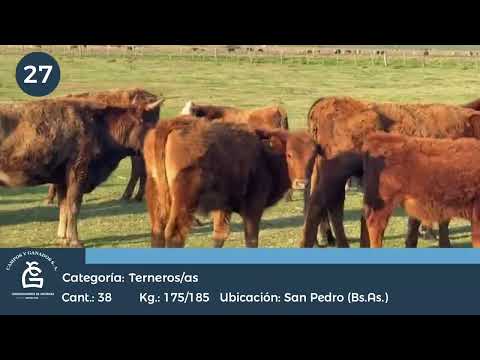 Lote M Y H - San Pedro  Bs As
