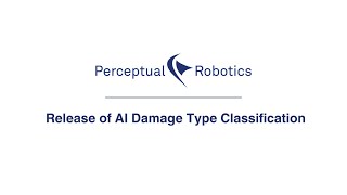AI Damage Type Classification