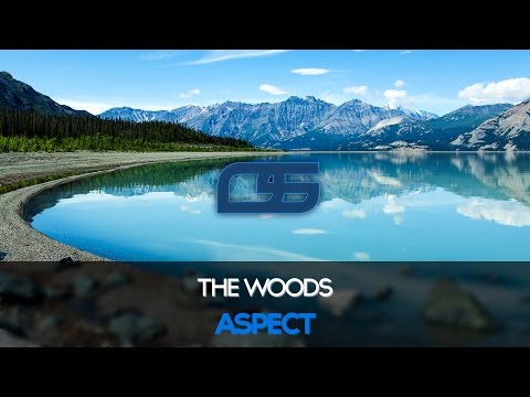 Aspect - The Woods [Free]