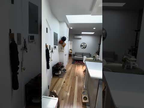 video 1