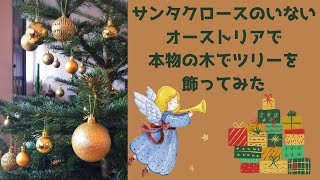 【#4 ツリーを飾ろう】本物の木で飾り付け！