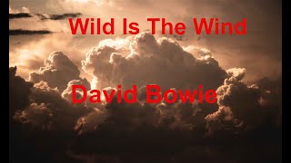 Wild Is The Wind -  David Bowie - with lyrics