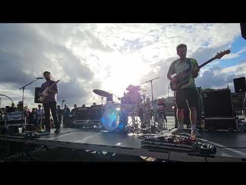 MAD FOXES - 2025 // / Hurricanes