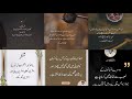 Mohabbat Quotes In Urdu | Sad Aqwal E Zareen In Urdu | Emotional Quotes In Urdu