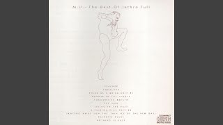 Skating Away (On the Thin Ice of the New Day)