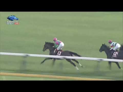 2019.05.26 Meguro Kinen (JPN) - Look Twice