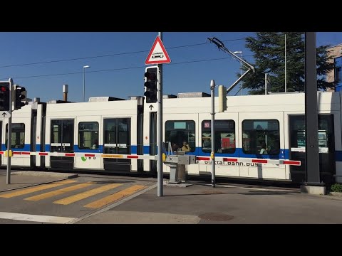 Anche i TRAM hanno il Passaggio a Livello!!